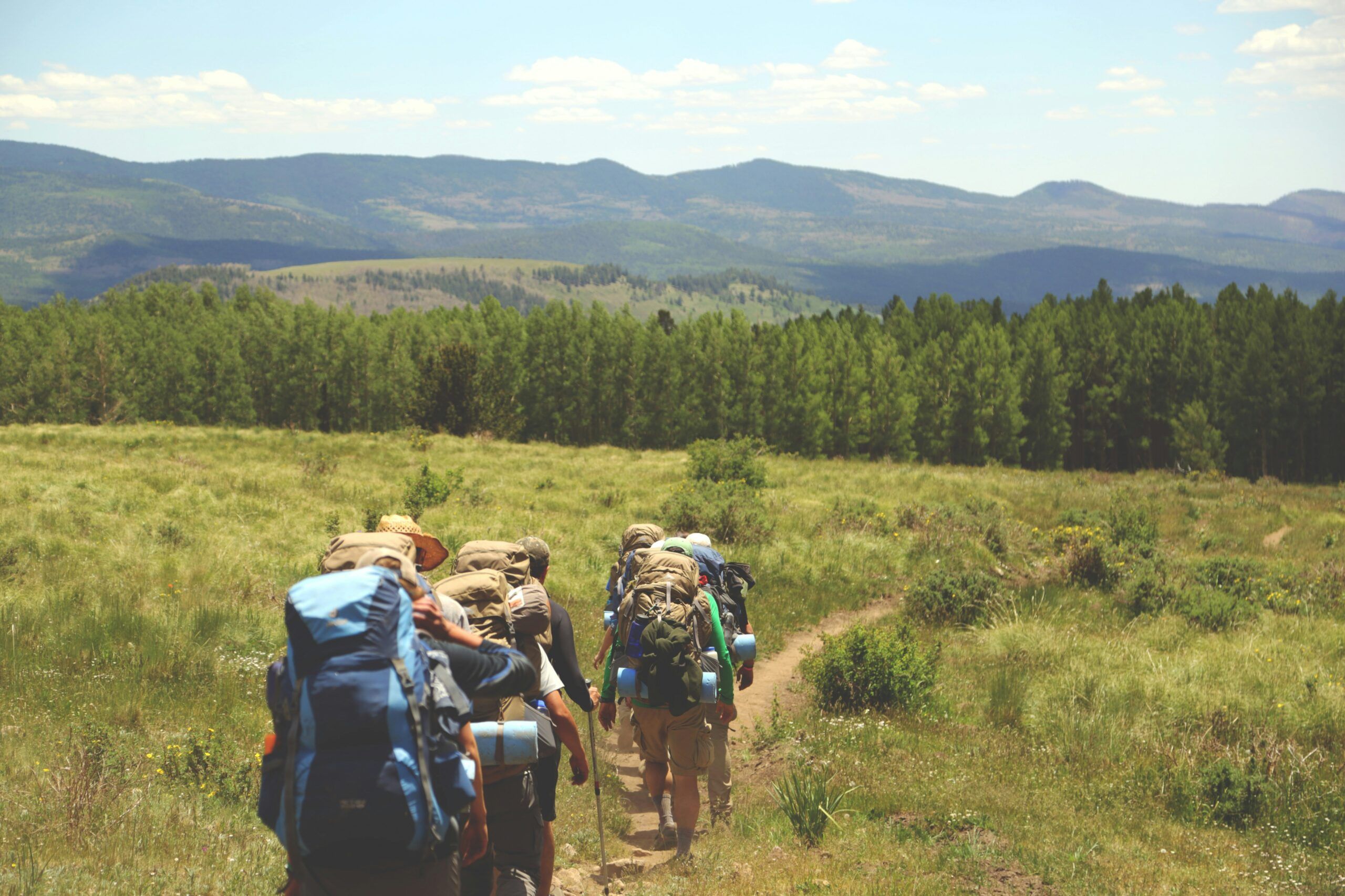 A group of hikers with backpacks walking on a trail through a grassy field with mountains in the background at Mountain Crest Reserve.