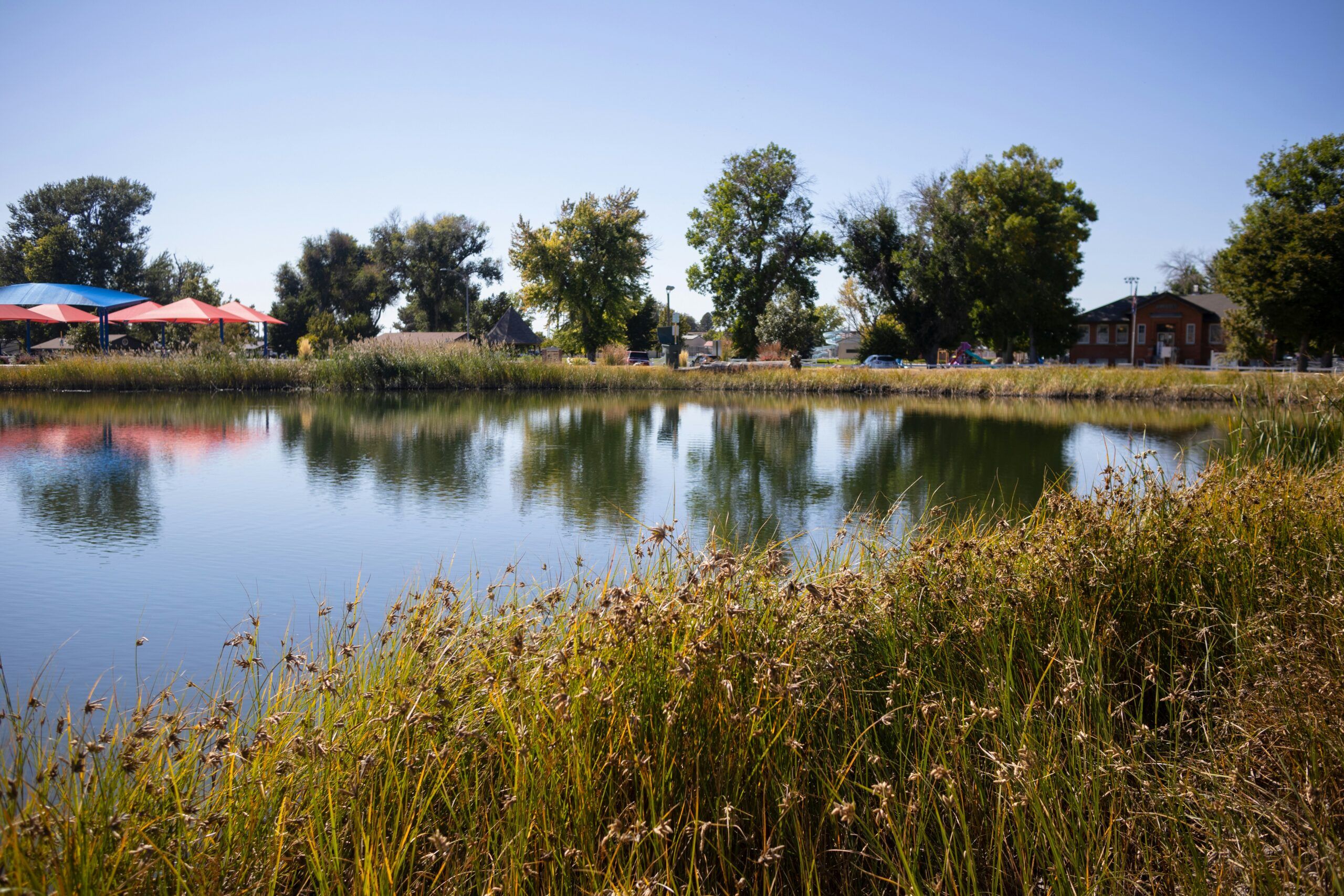 A serene pond surrounded by tall grass and trees, with vibrant umbrellas and a building in the background at Mountain Crest Reserve