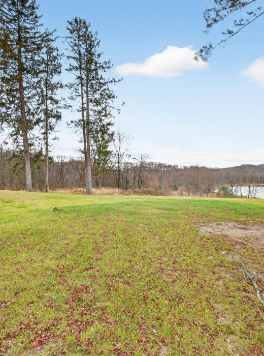 Grassy backyard with tall trees, a view of a lake, and partly cloudy sky in the background.