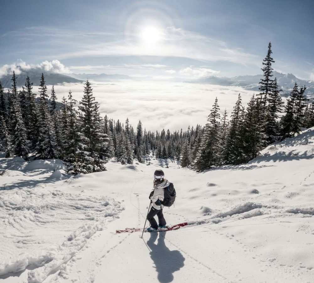 Skier at the top of a snowy slope on a sunny day amongst pine trees